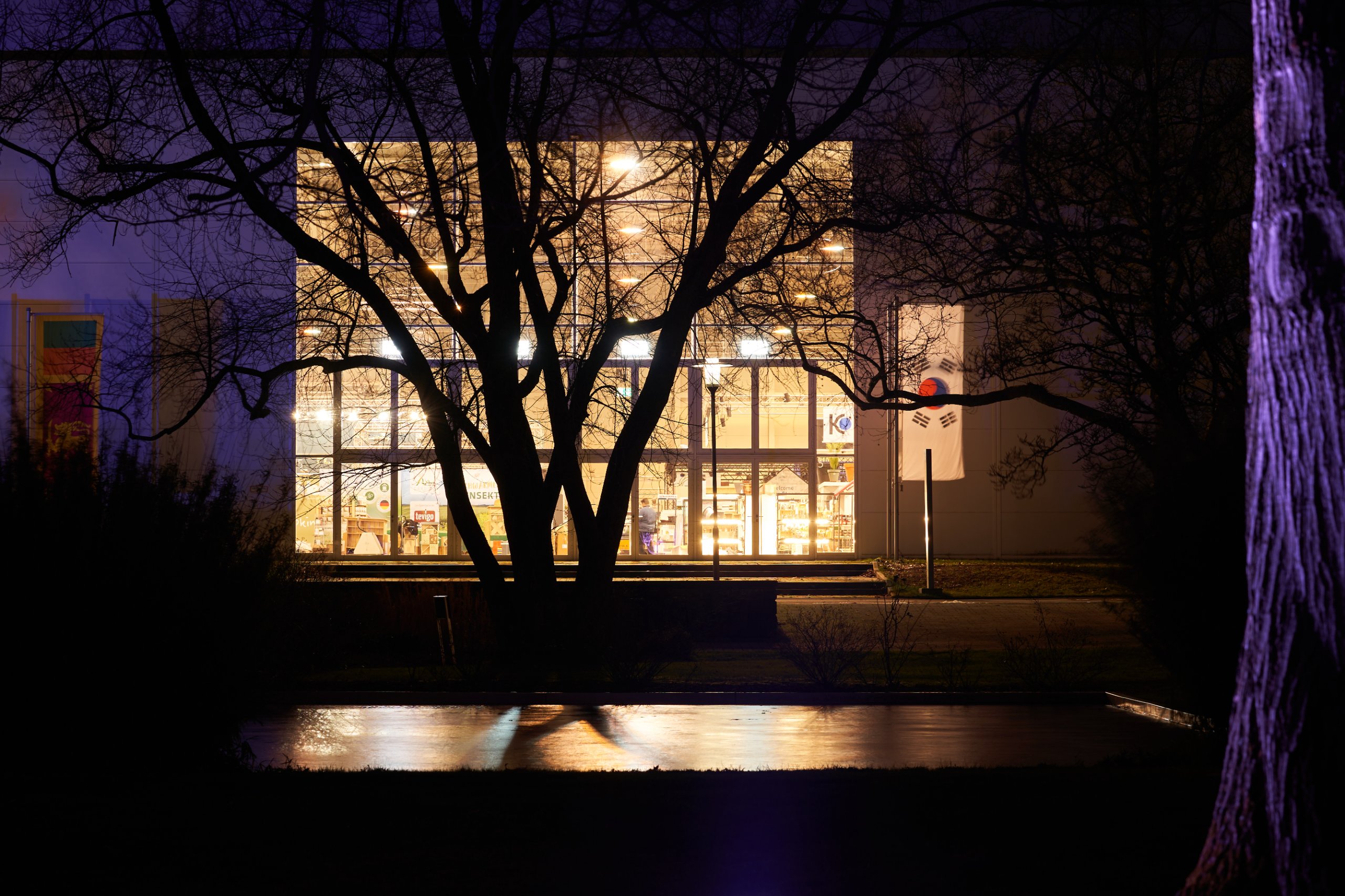 2023 01 23 Parkleuchten 0046